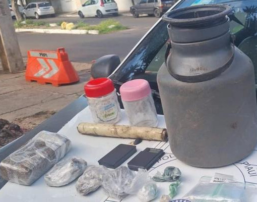PM apreende maconha, cocaína e crack escondidos em área de mata na zona Sul de Teresina