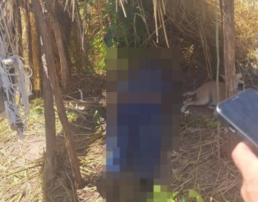 Idoso de 74 anos morre após sofrer mal súbito trabalhando na roça no interior do Piauí