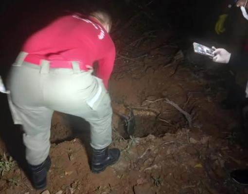 Moradores confundem animal em decomposição com corpo humano e chamam a Policia em Teresina