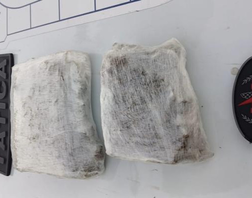 Policia apreende tabletes de maconha enterrados em área de mata de Teresina