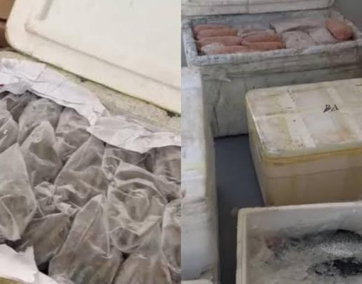 PRF intercepta mais de 600 kg de alimentos irregulares em rodovia do Piauí