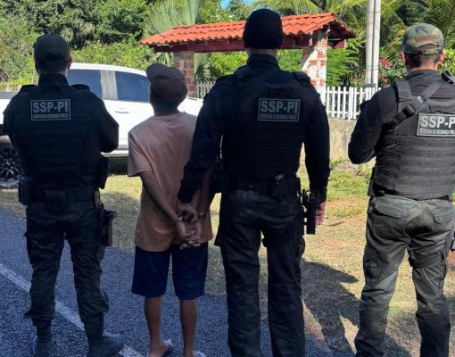 Fiscalização em rodovias leva à prisão de foragidos e condução de donos de animais
