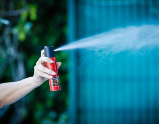 Mulheres poderão adquirir spray de pimenta após aprovação no Senado