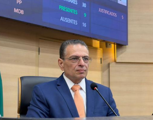 Projeto aprovado na Alepi reforça combate aos maus-tratos contra cães e gatos no Piauí