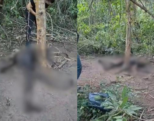 Corpo em avançado estado de decomposição é encontrado em Curralinhos