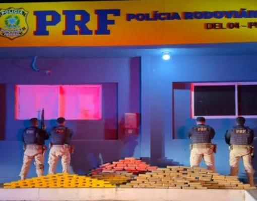 Motorista é preso após PRF encontrar cocaína e skunk em carreta na BR-407 em Picos