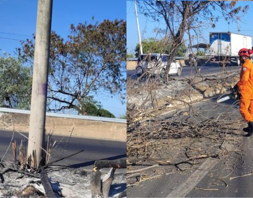 Árvore em chamas cai sobre jovem de 21 anos na BR-316, no bairro Lourival Parente