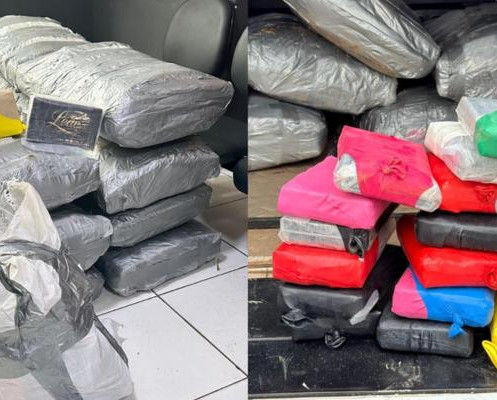 Polícia encontra meia tonelada de cocaína em sítio disfarçado no Maranhão