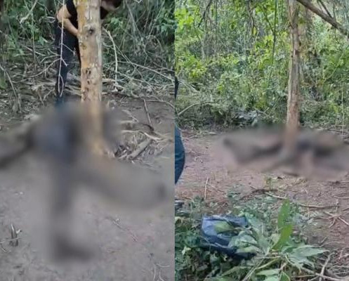 Corpo em avançado estado de decomposição é encontrado em Curralinhos