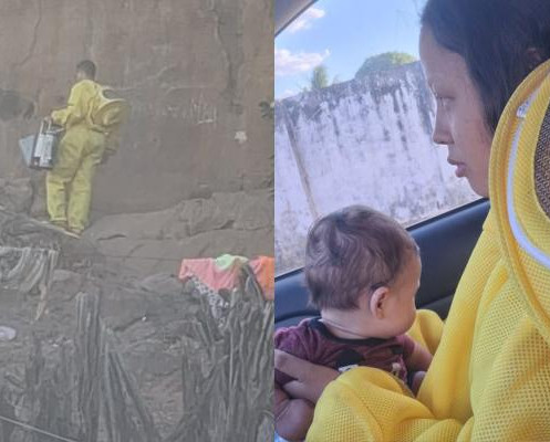 Bombeiros salvam mãe e recém-nascido após ataque de abelhas em Oeiras