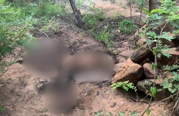 Corpo em decomposição é encontrado em mata na zona rural de Picos