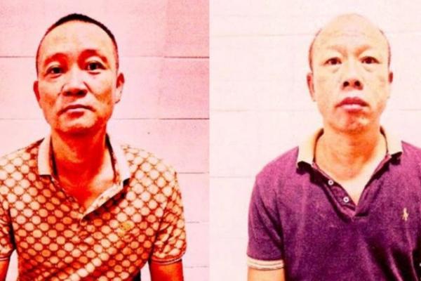 Justiça solta chineses presos com grande carga de barbatanas de tubarão no PI