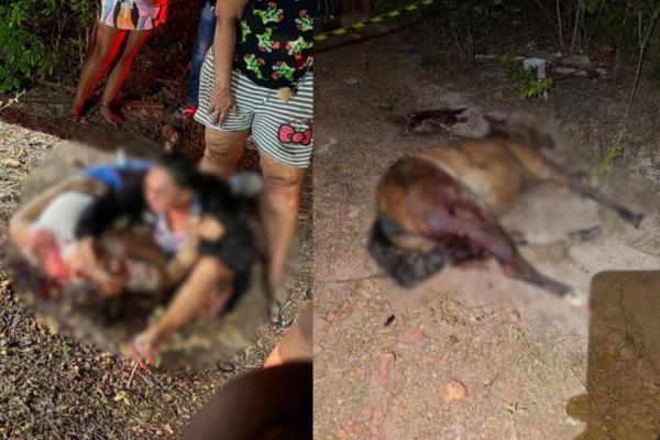 Carroceiro morre e esposa e filha ficam feridas em acidente no Piauí