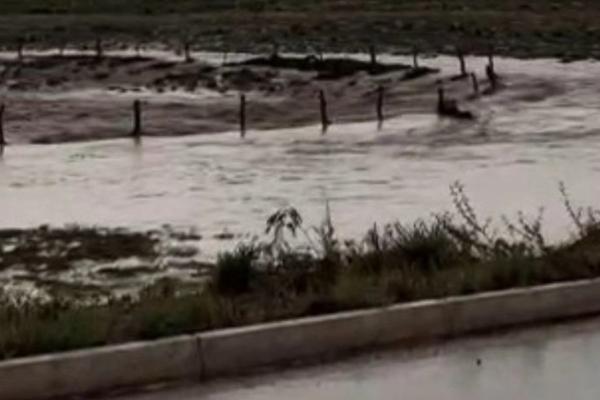 Chuva intensa provoca alagamento e paralisa tráfego na BR-135 em Santa Luz