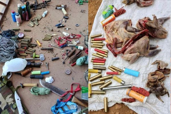 PM e Ibama realizam operação e apreendem armas e animais silvestres no Piauí