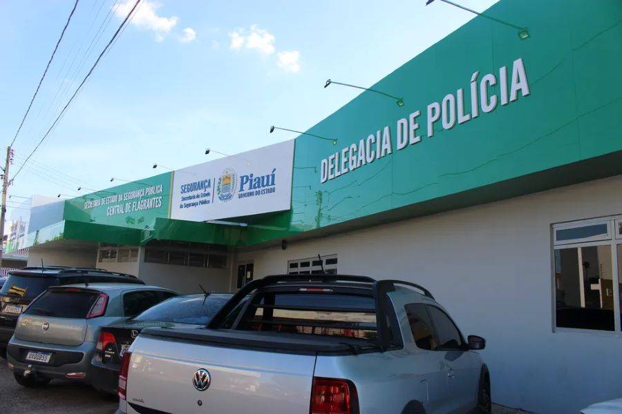 Mulher tenta retirar veículo do Detran-PI usando documento falso e é presa