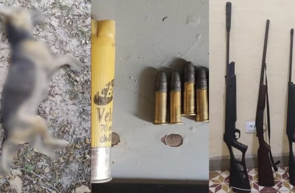 Homem é detido na zona rural após matar cachorro e esconder armas