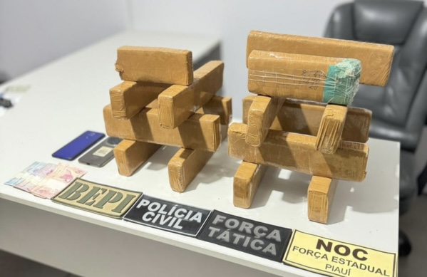 Polícia apreende 15 tabletes de maconha durante operação em Picos