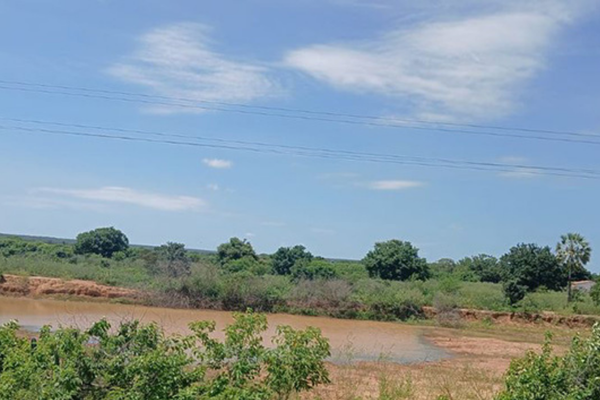Seca verde atinge Piauí e ameaça produção agrícola