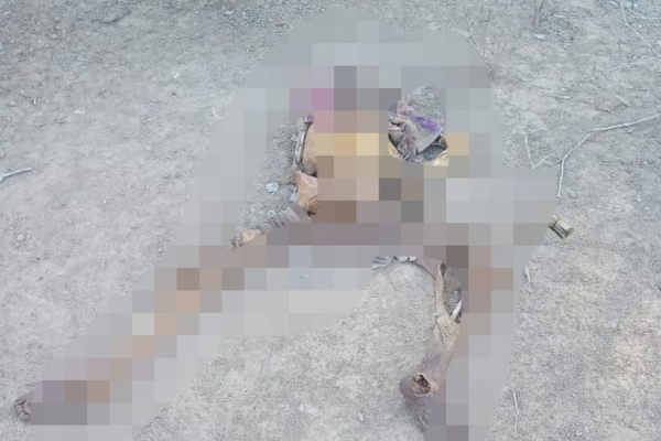 Ossada humana é encontrada em matagal próximo à Estrada da Alegria, em Teresina