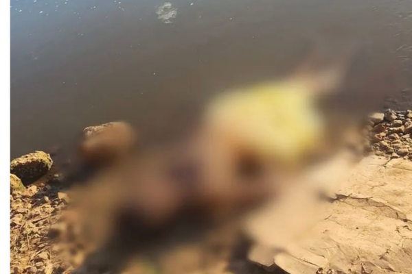 Mulher é encontrada morta com as mãos amarradas na zona Norte de Teresina