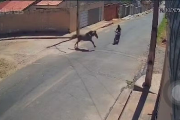 Jovem morre após colisão com cavalo solto em avenida de Floriano