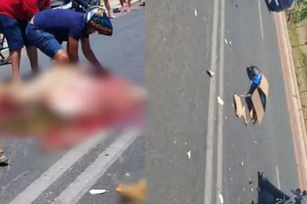 Homem morre após colidir com vaca na zona Norte de Teresina