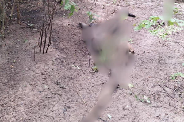 Corpo em decomposição é encontrado em área de mata na zona rural de Cocal