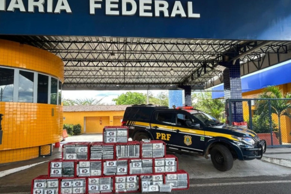 Motorista é preso com 540 kg de cocaína escondida em caminhão na cidade de  Piripiri