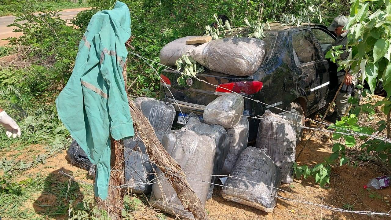 Polícia Militar apreende grande quantidade de drogas em São Raimundo Nonato