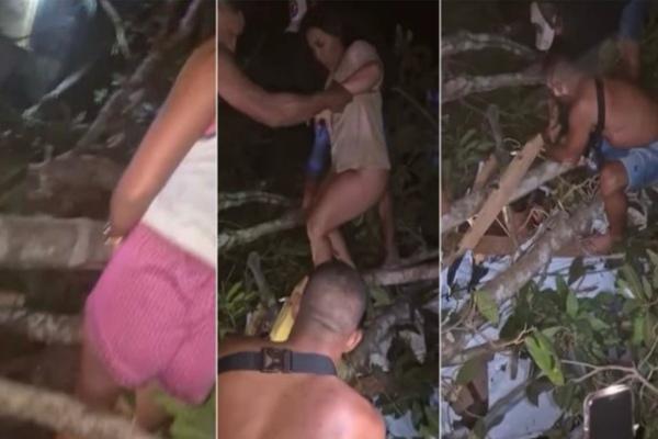 Vídeo: Árvore cai sobre casa e 