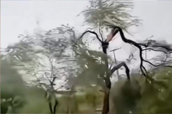 Temporal com ventos fortes provoca estragos e destelhamentos em bairros de Picos