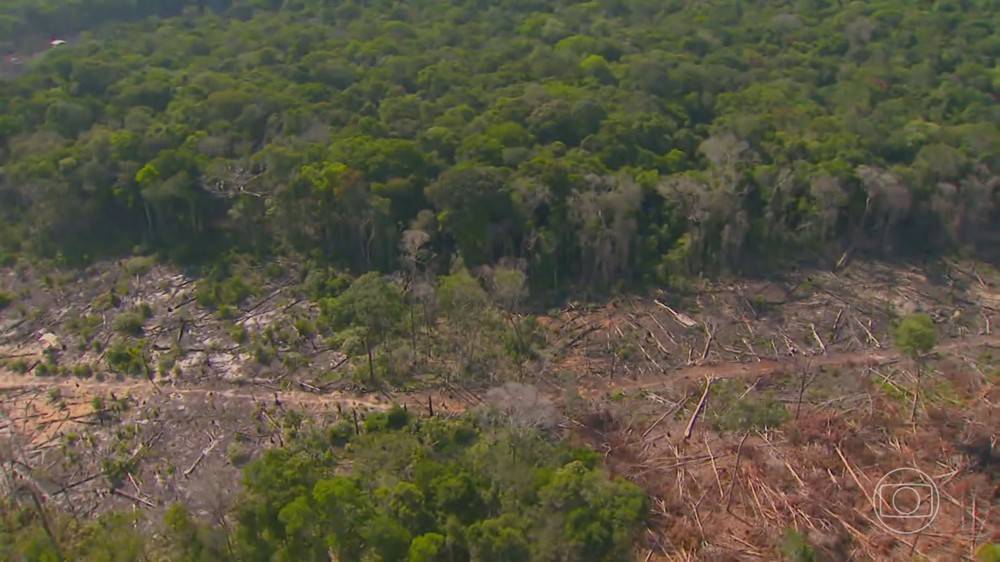 Piauí vai fazer parte da força tarefa para combater desmatamento no Cerrado
