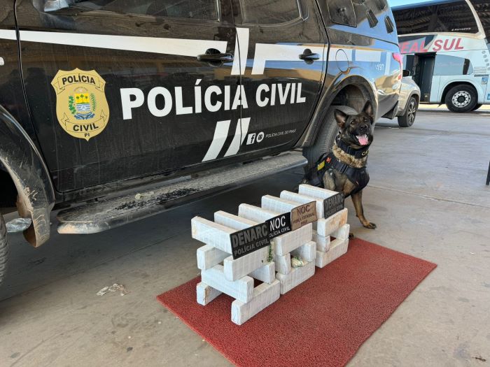 Homem preso com 24 kg de drogas em ônibus no Sul do Piauí