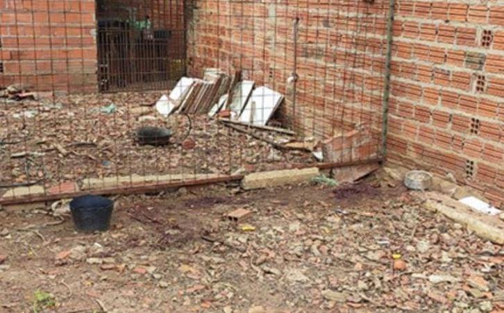 Homem é preso após matar casal de pitbull a facadas no interior do Piauí