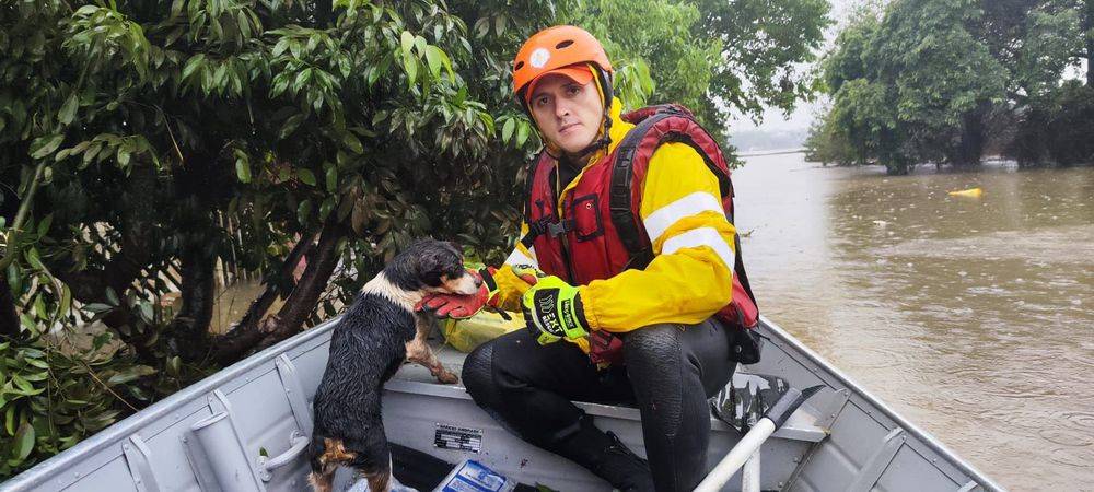 Bombeiros do Piauí auxiliam famílias e resgatam mais de 30 animais no Rio Grande do Sul
