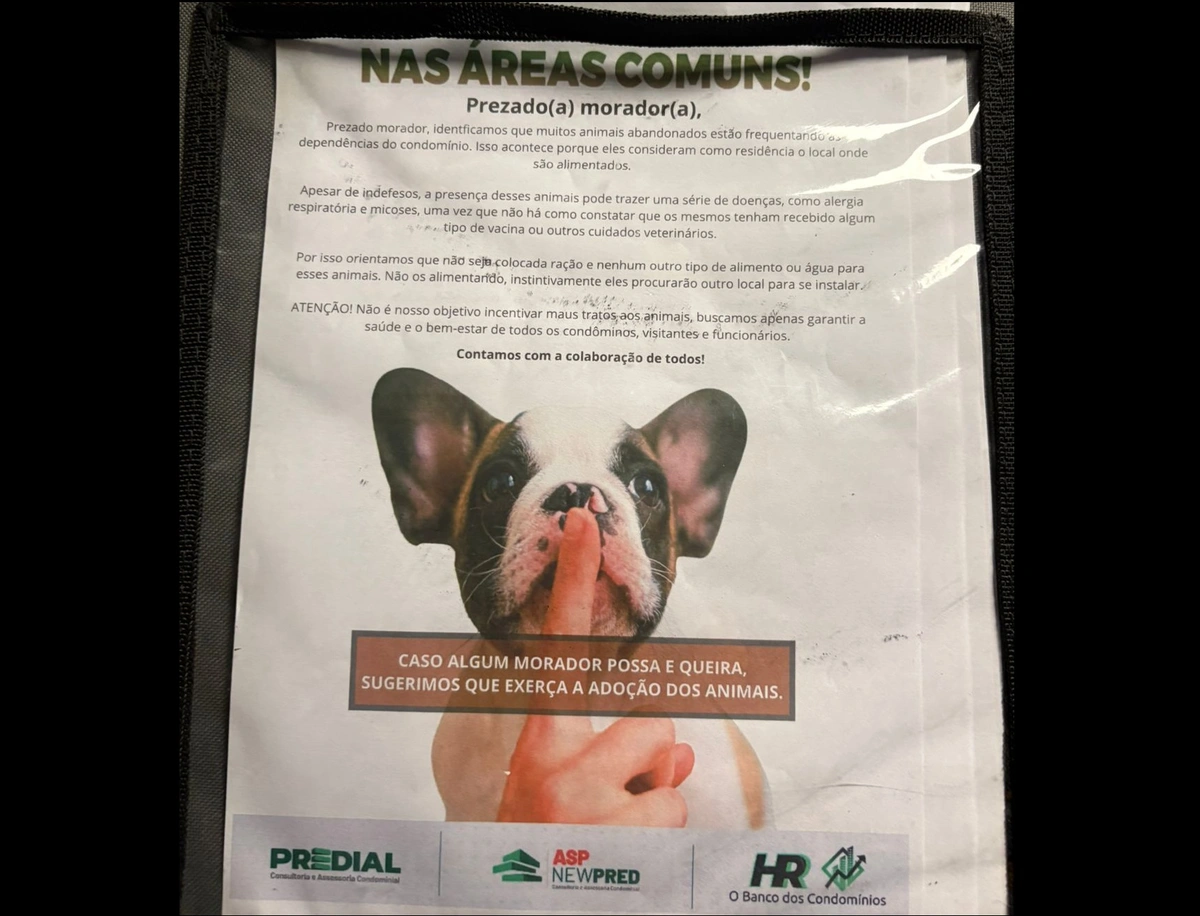 Proibição de alimentar cães e gatos gera indignação em prédio de Teresina