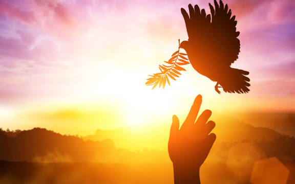 Um pacto social pela paz