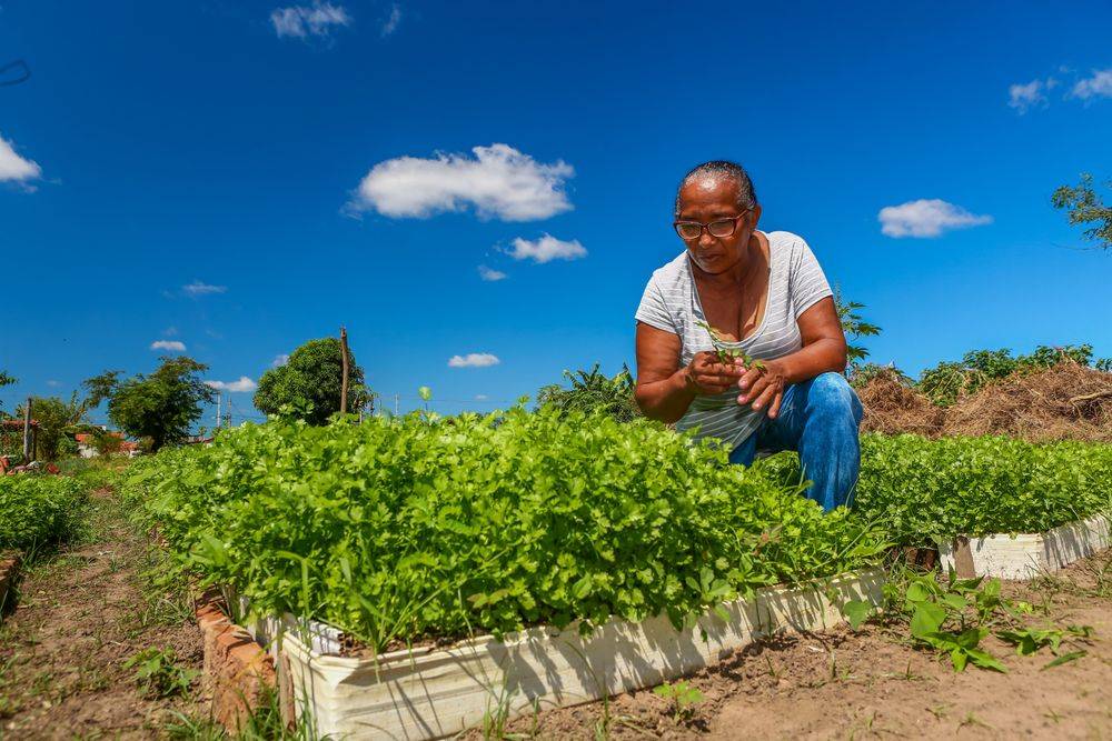 Governador assina operação de crédito de R$ 600 milhões para agricultura familiar nesta terça-feira