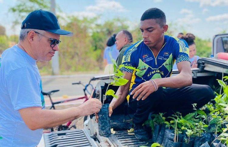 Semarh promove distribuição de mudas frutíferas e nativas e arborização em Campo Maior