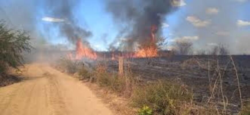 Bombeiros combatem incêndios florestais em Bom Jesus, sul do Piauí