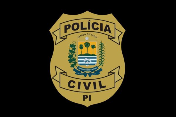 Preso em Parnaíba suspeito de integrar quadrilha que fraudou R$ 12 milhões