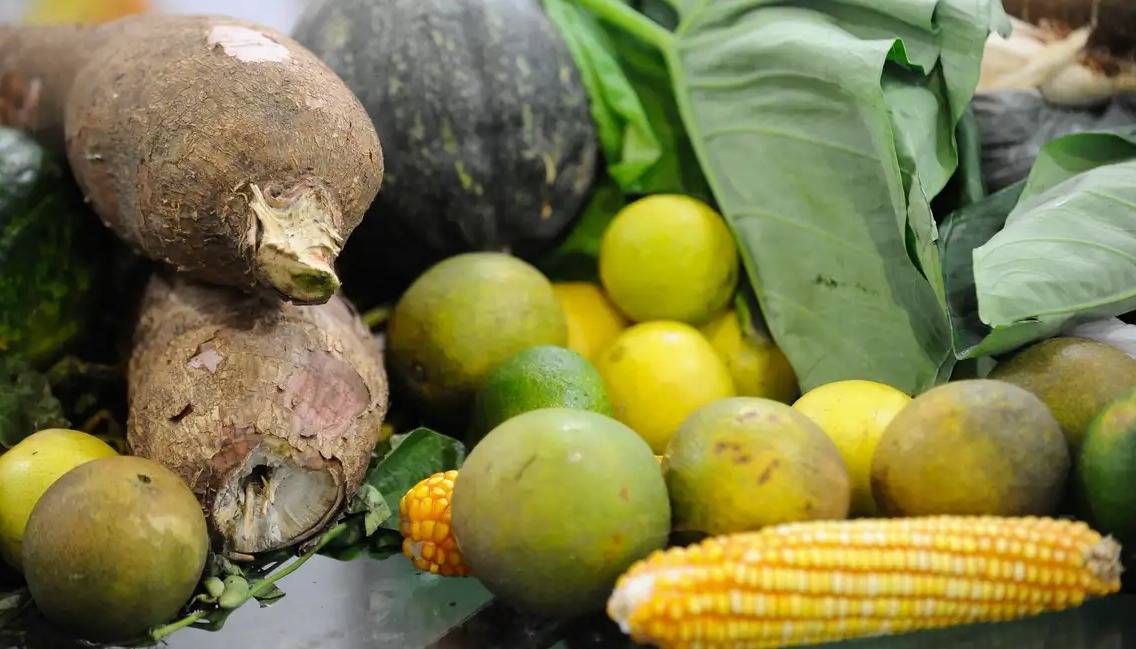 Agrotóxicos: 25% dos alimentos de origem vegetal no país têm resíduos