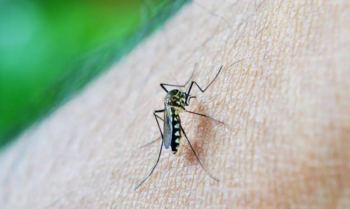 Mulher de 49 anos morre de dengue em Teresina e Piauí soma 5 óbitos