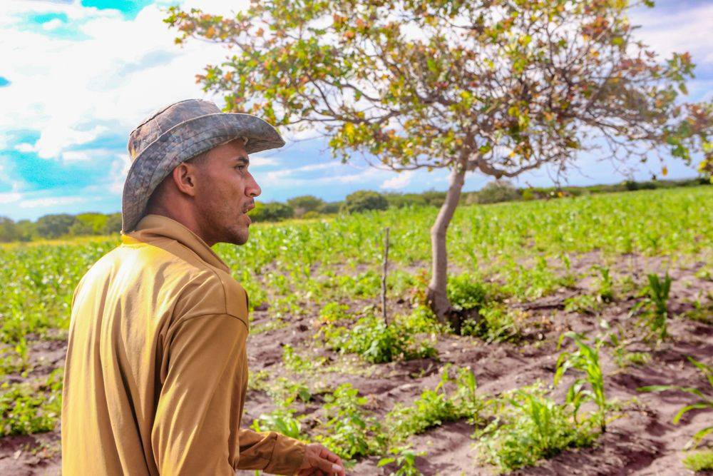 Agricultores de mais 30 municípios do Piauí serão beneficiados com pagamento do Garantia Safra