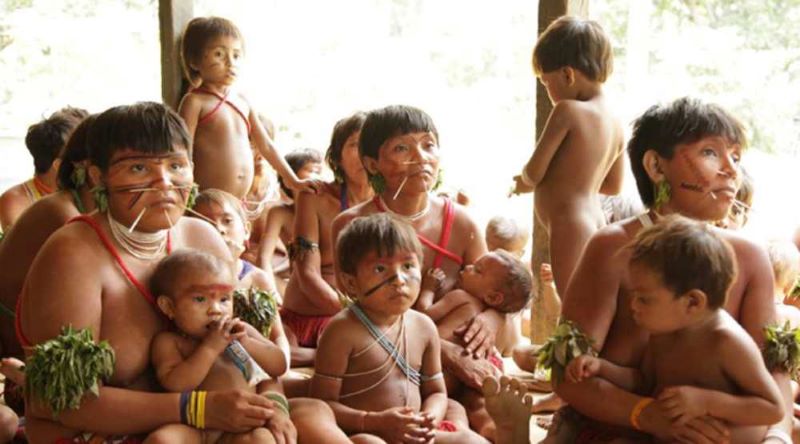 Estudo revela grave contaminação por mercúrio nas comunidades indígenas Yanomamis